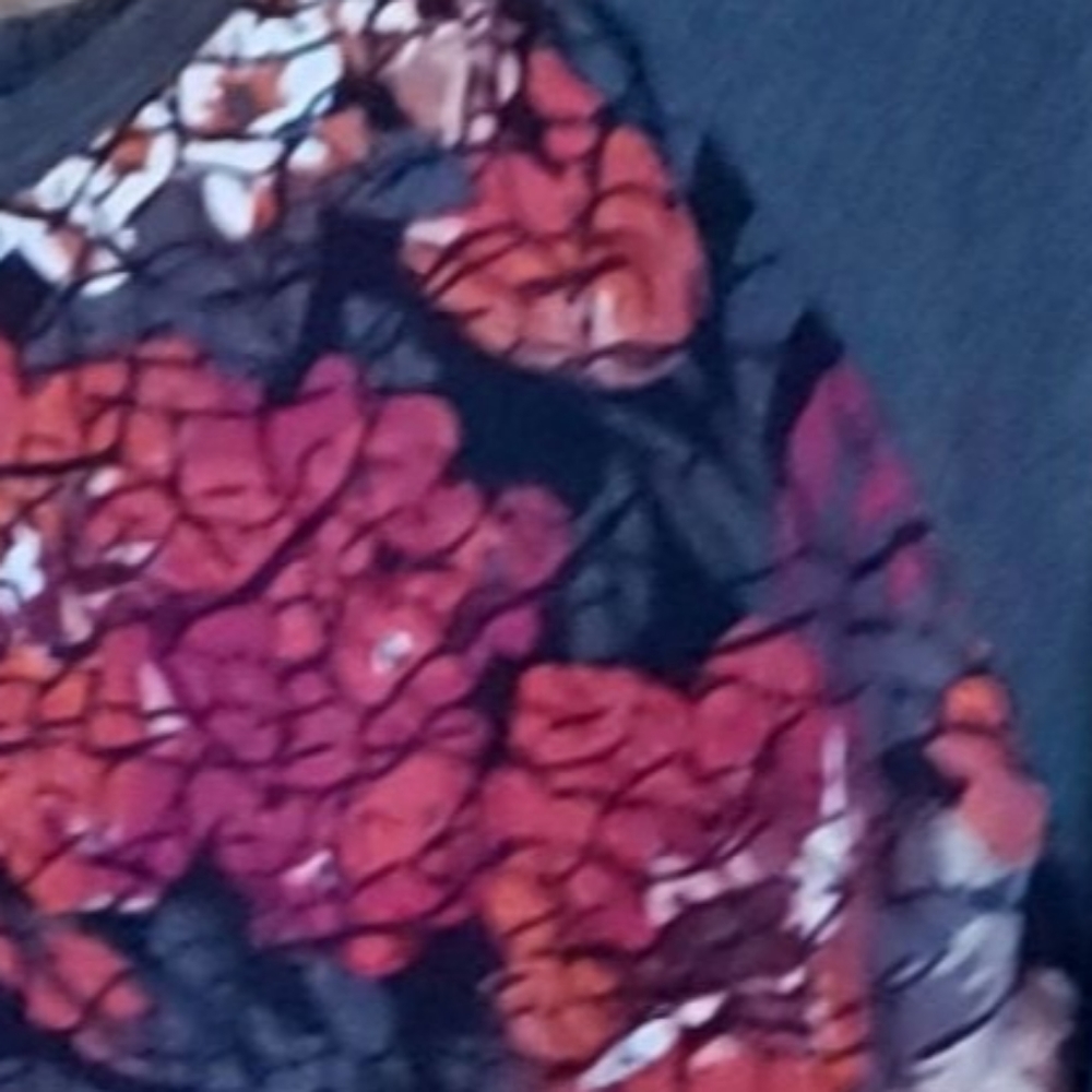 LulaRoe Randy - Picture 2 of 2